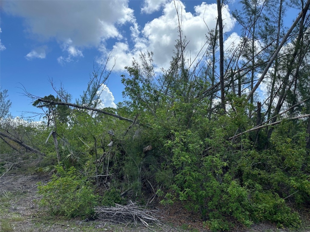 10792 Hatchet Circle Port Charlotte FL 33981 C7510553 image3