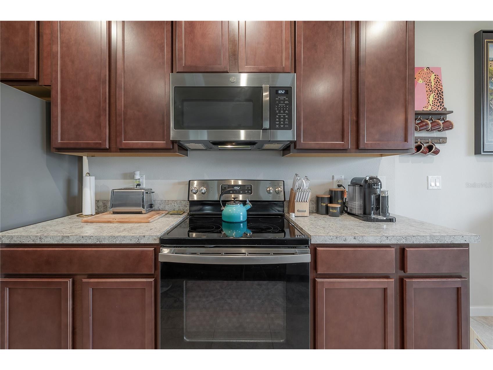 10792 Hawks Landing Drive Land O Lakes FL 34638 TB8471416 image14
