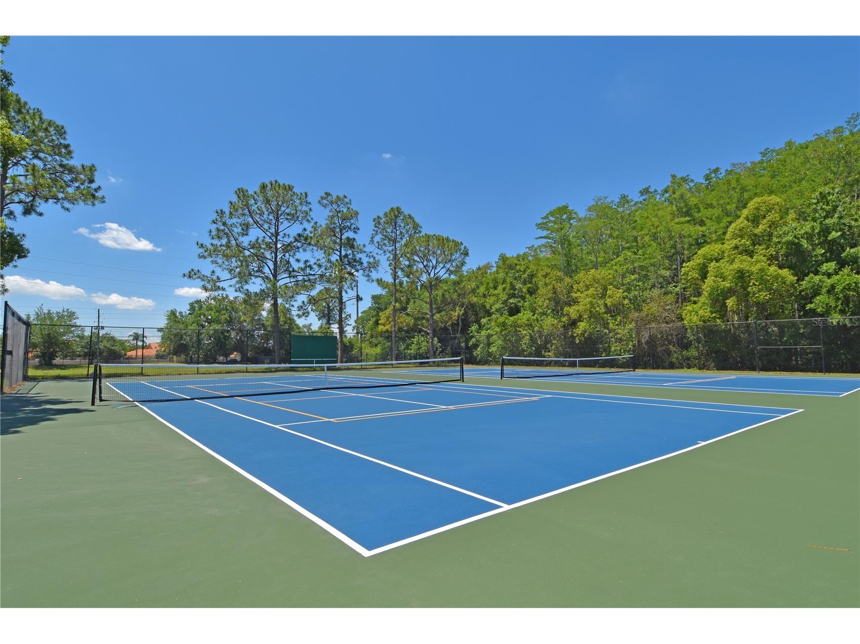 10792 Lazy Lake Drive Orlando FL 32821 O6409534 image35