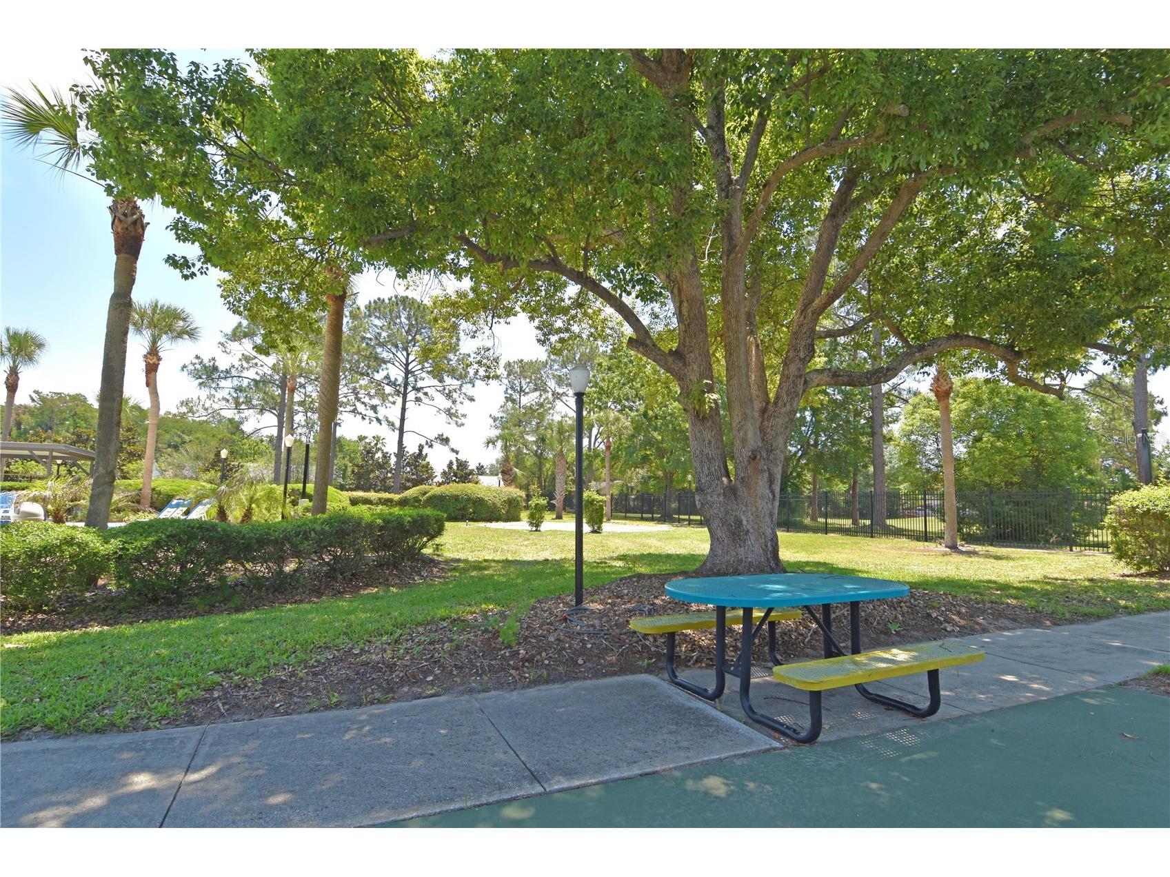 10792 Lazy Lake Drive Orlando FL 32821 O6409534 image36