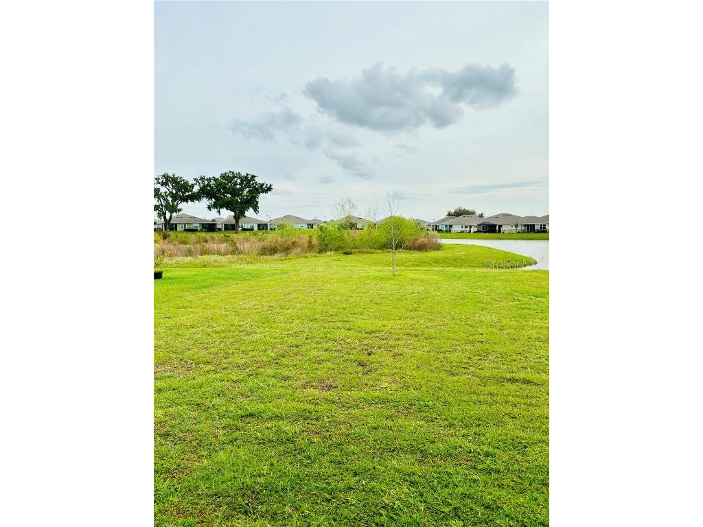 10797 Penny Gale Loop San Antonio FL 33576 TB8455438 image18