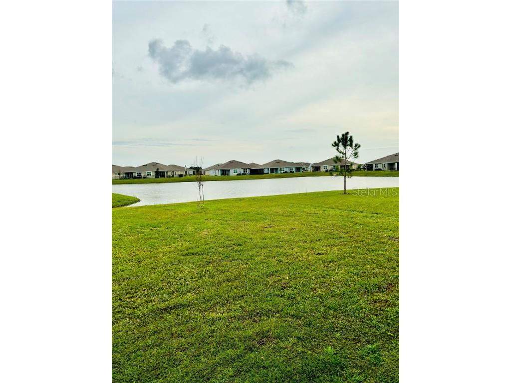 10797 Penny Gale Loop San Antonio FL 33576 TB8455438 image19