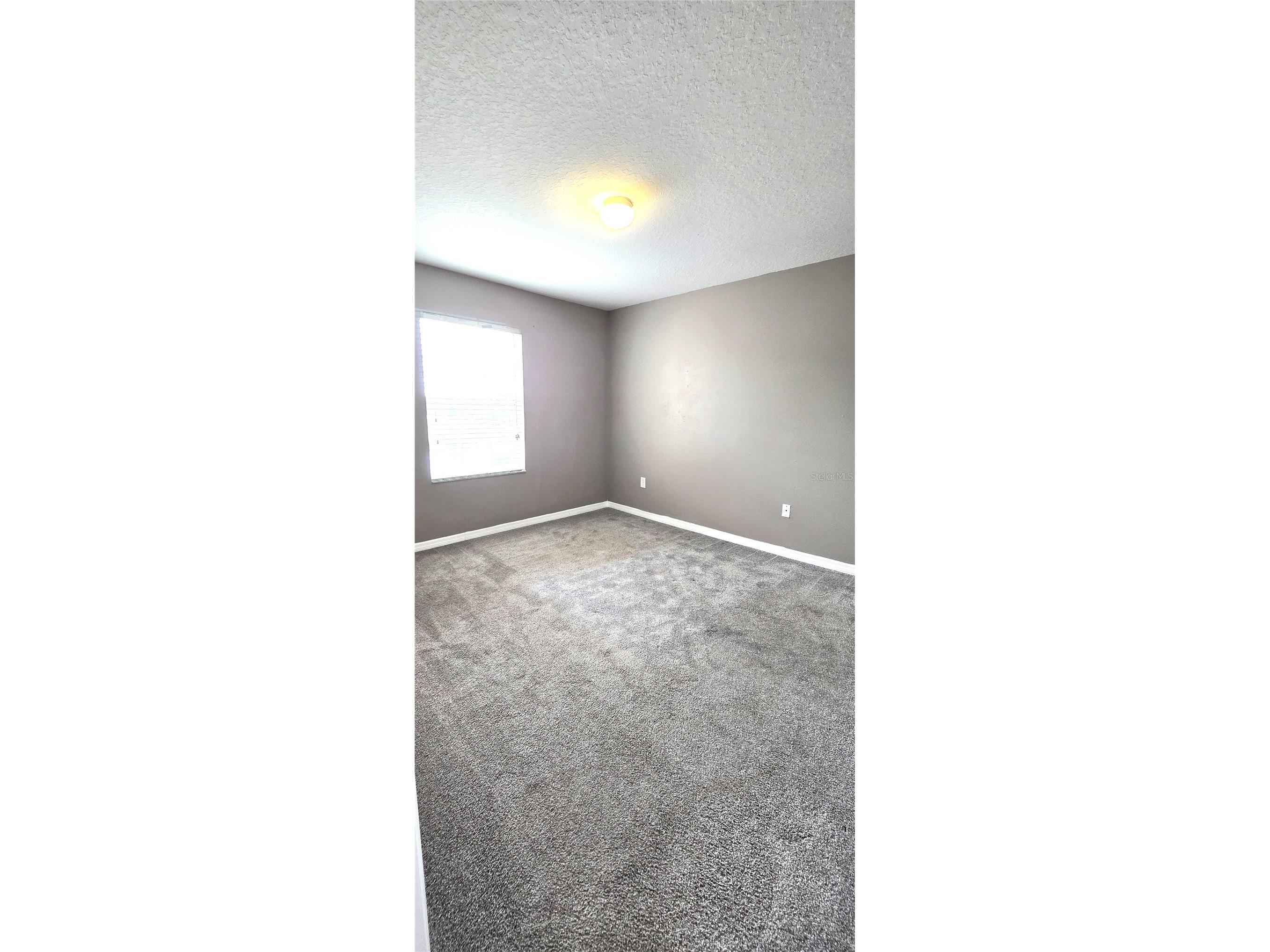 10797 Savannah Landing Circle Orlando FL 32832 O6412702 image10