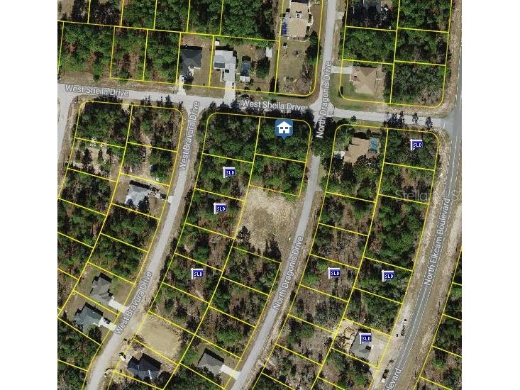 10798 N Dragonis Drives Citrus Springs FL 34433 O6297047 image1