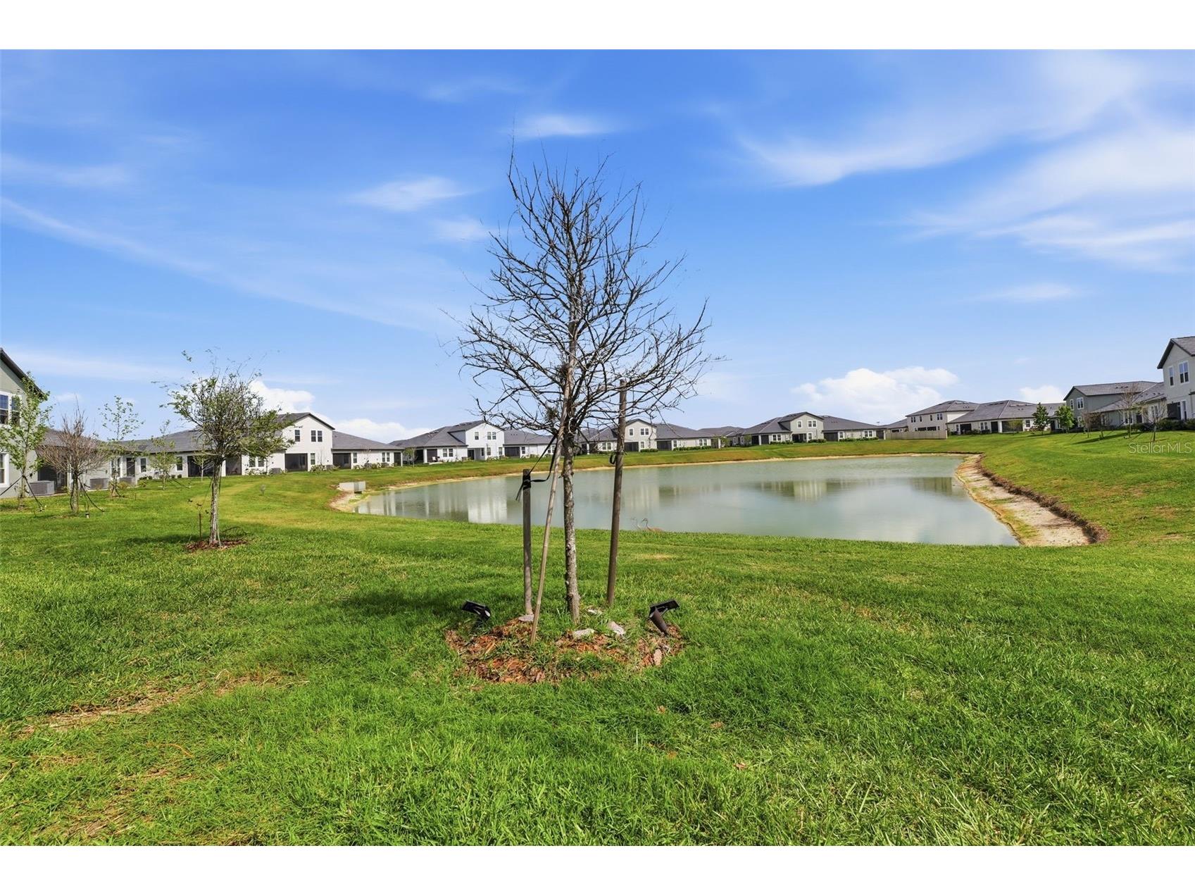 10799 Gable Dig Loop San Antonio FL 33576 W7884358 image18