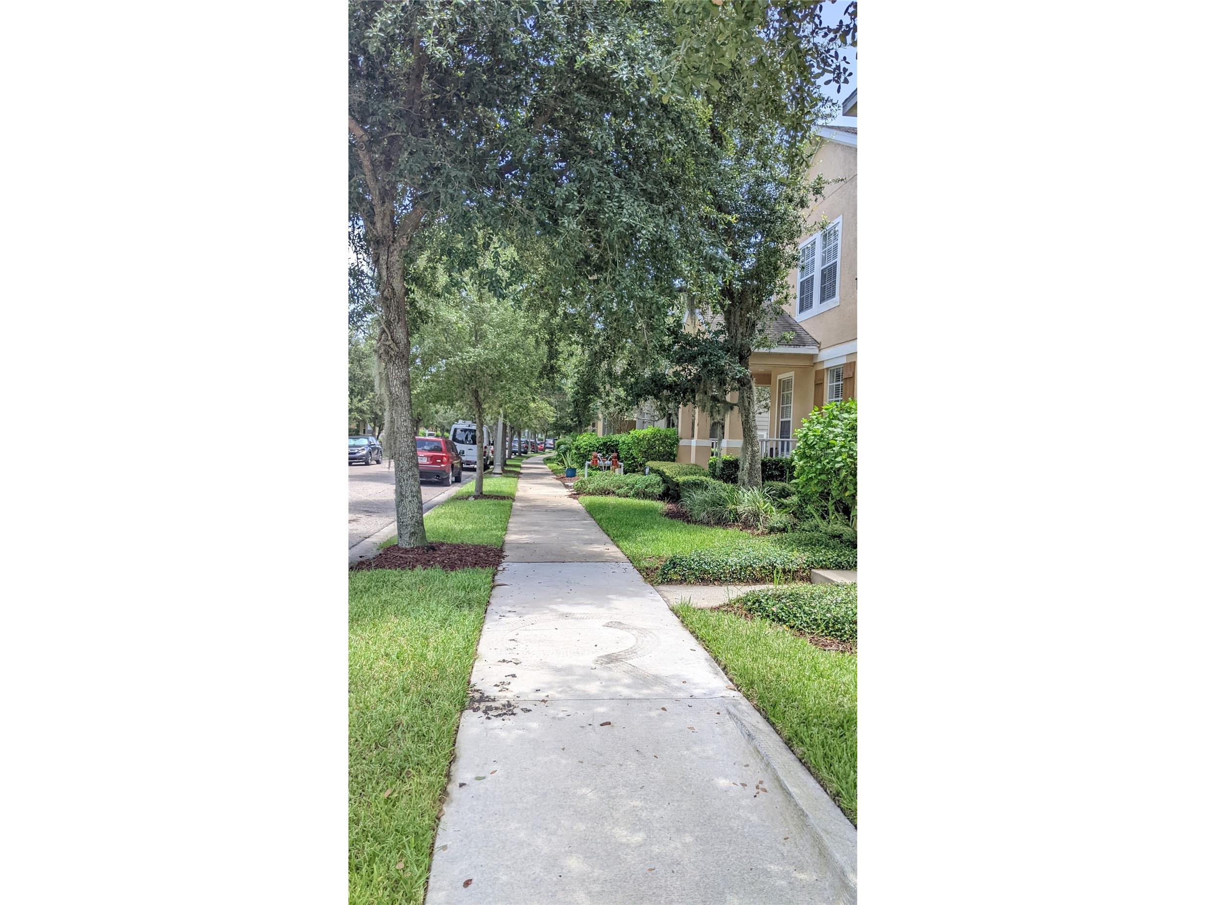 10799 Gran Paradiso Drive #A Orlando FL 32832 S5151217 image14