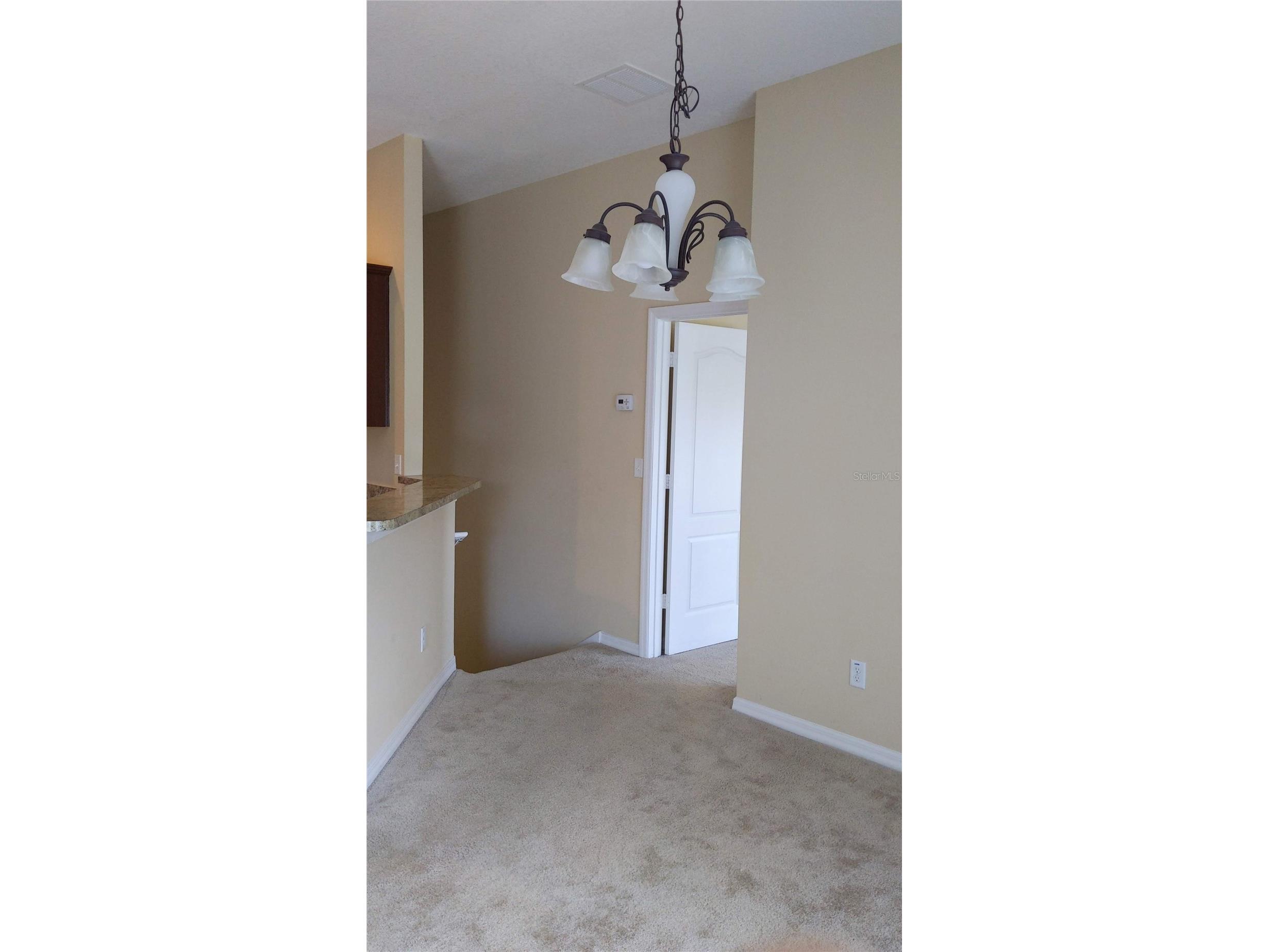 10799 Gran Paradiso Drive #A Orlando FL 32832 S5151217 image16