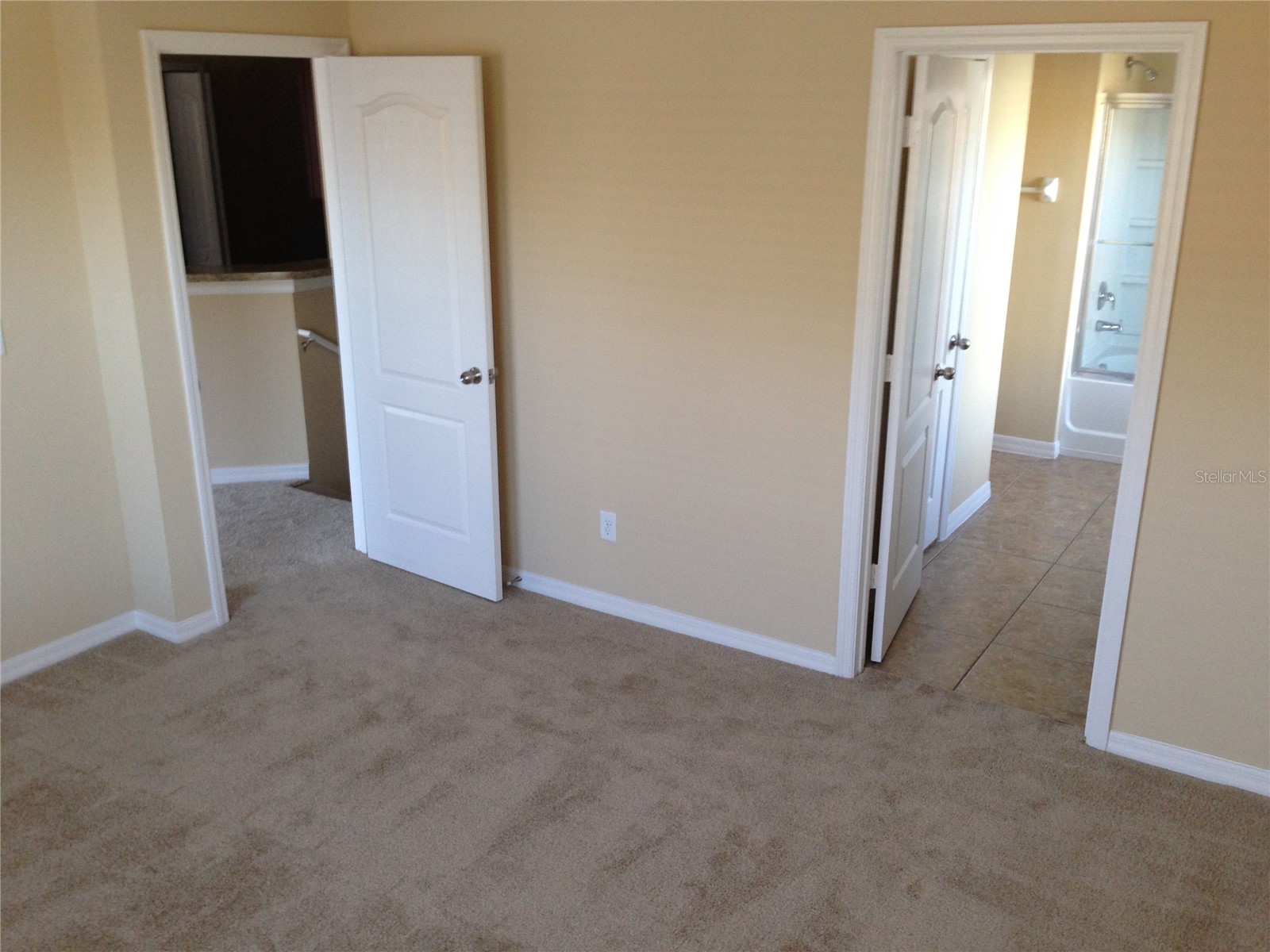 10799 Gran Paradiso Drive #A Orlando FL 32832 S5151217 image24