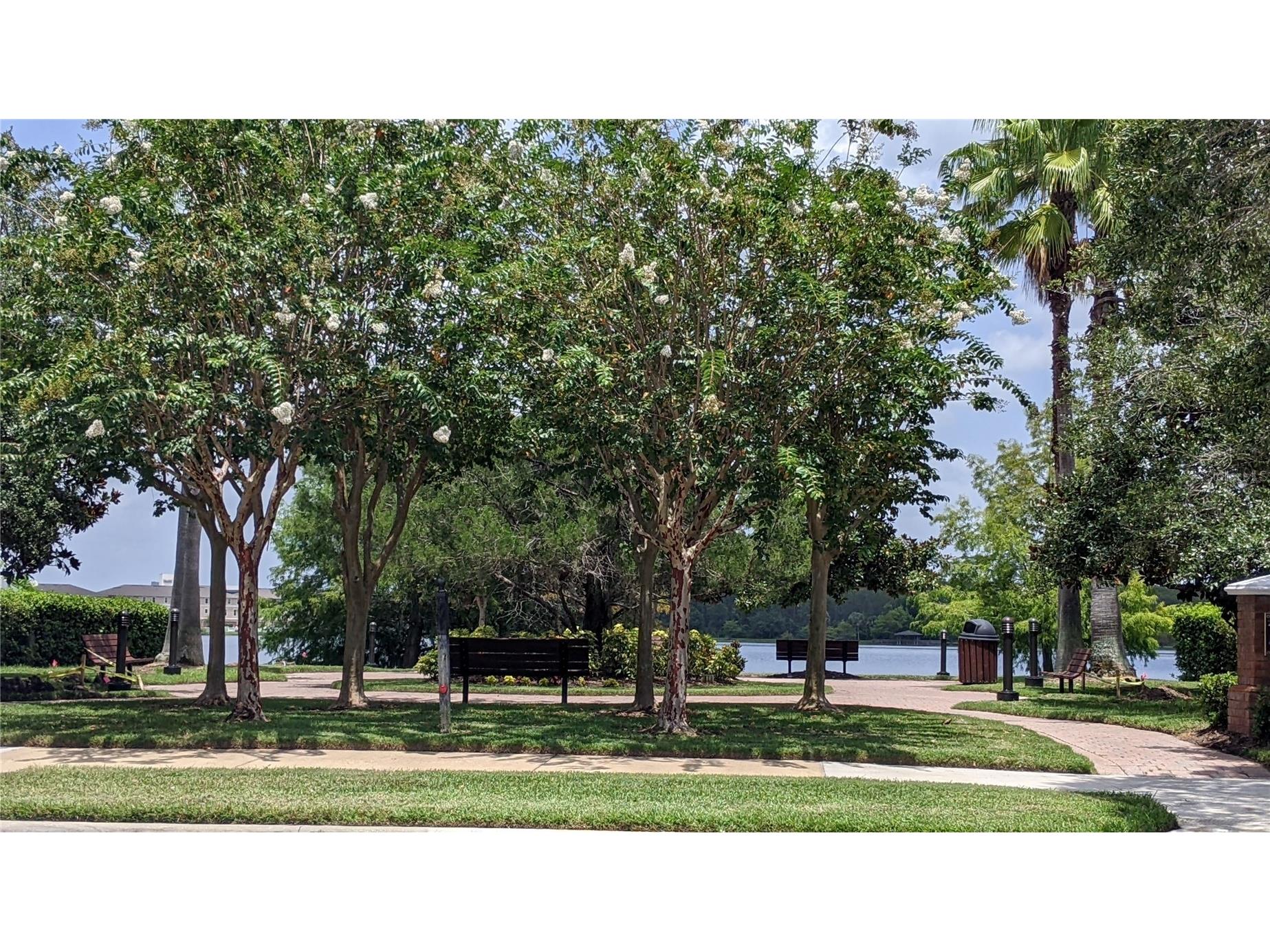 10799 Gran Paradiso Drive #A Orlando FL 32832 S5151217 image5