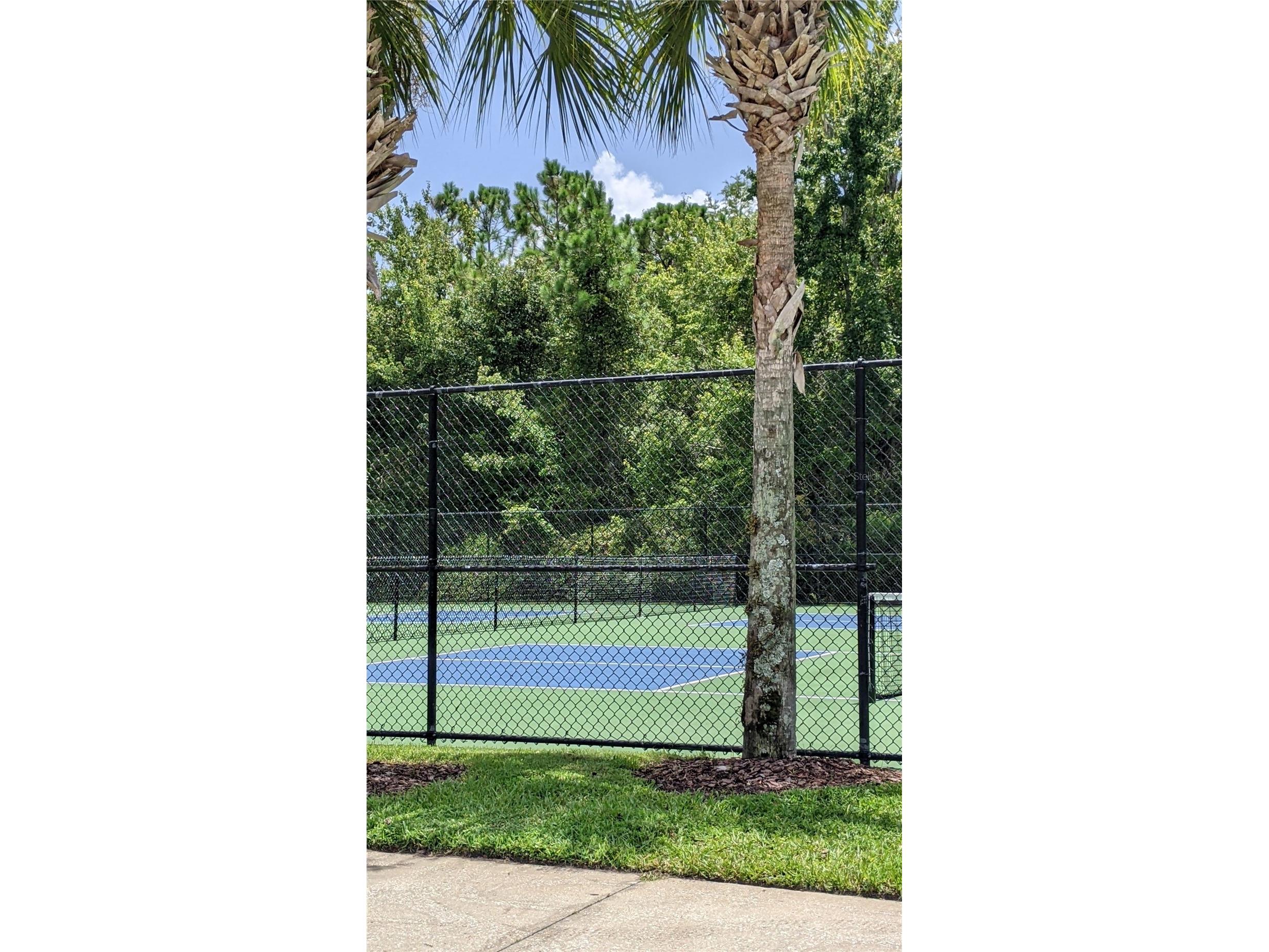 10799 Gran Paradiso Drive #A Orlando FL 32832 S5151217 image7