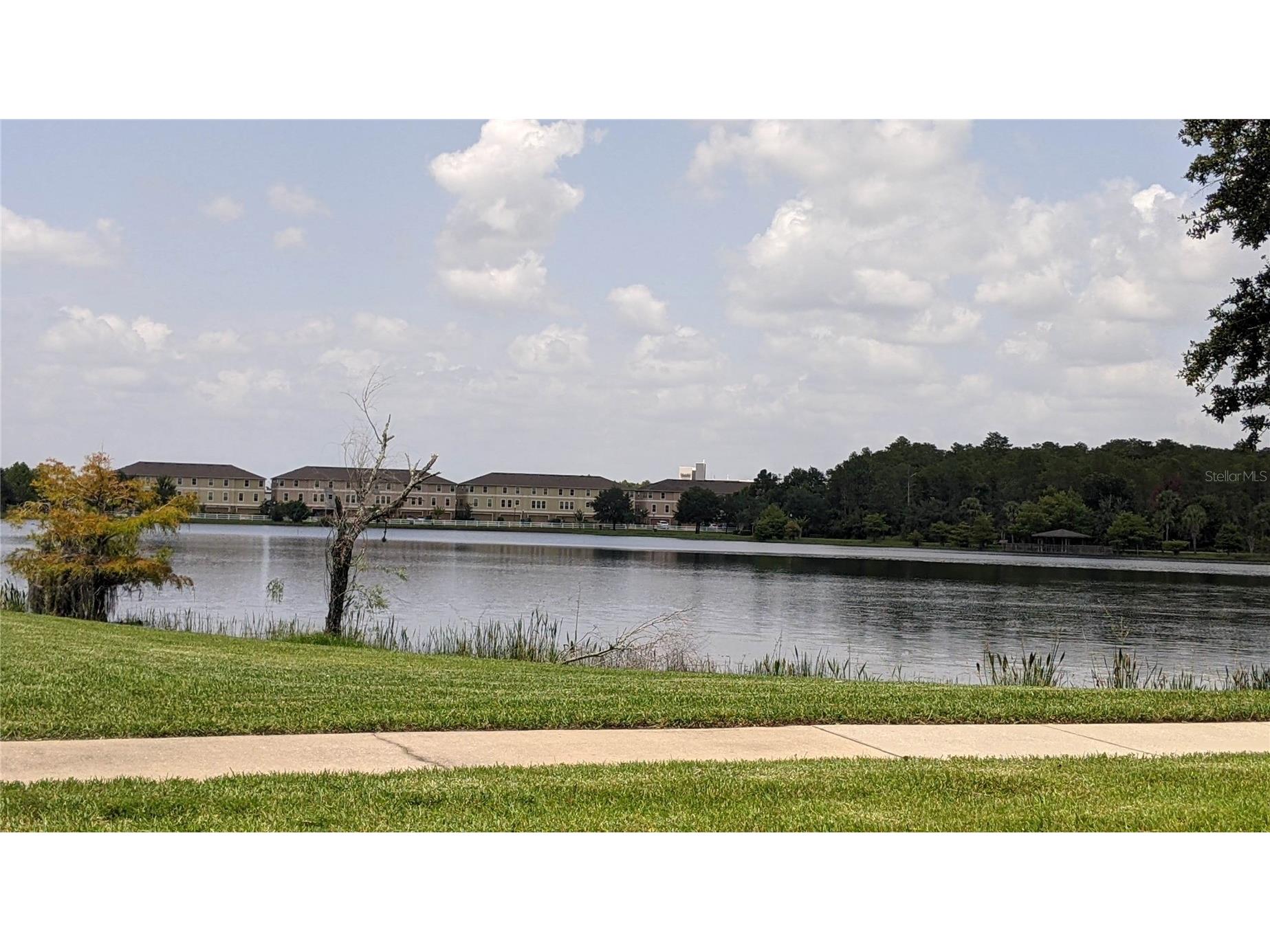 10799 Gran Paradiso Drive #A Orlando FL 32832 S5151217 image8