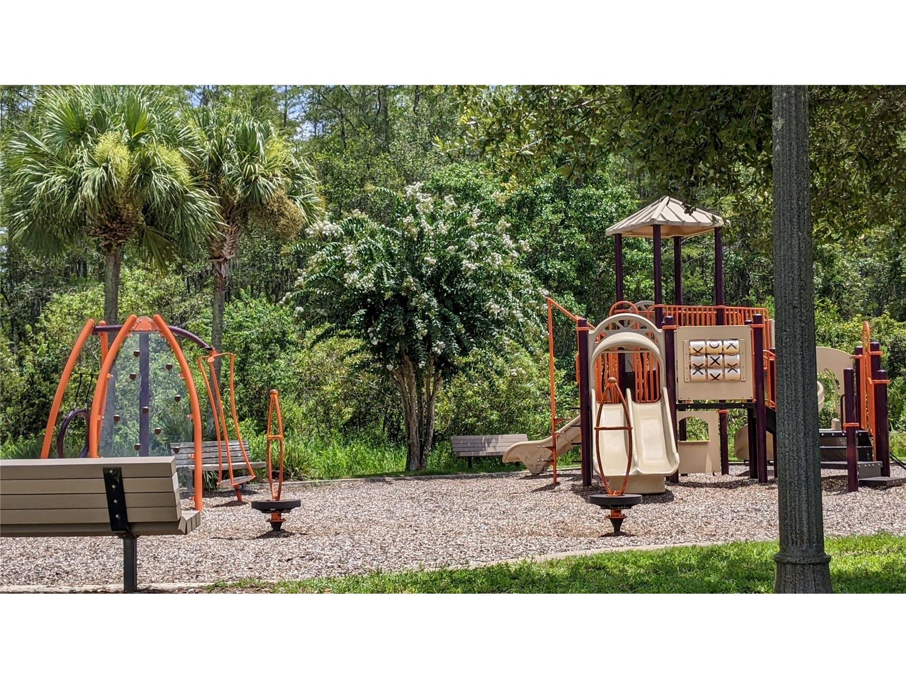 10799 Gran Paradiso Drive #A Orlando FL 32832 S5151217 image9