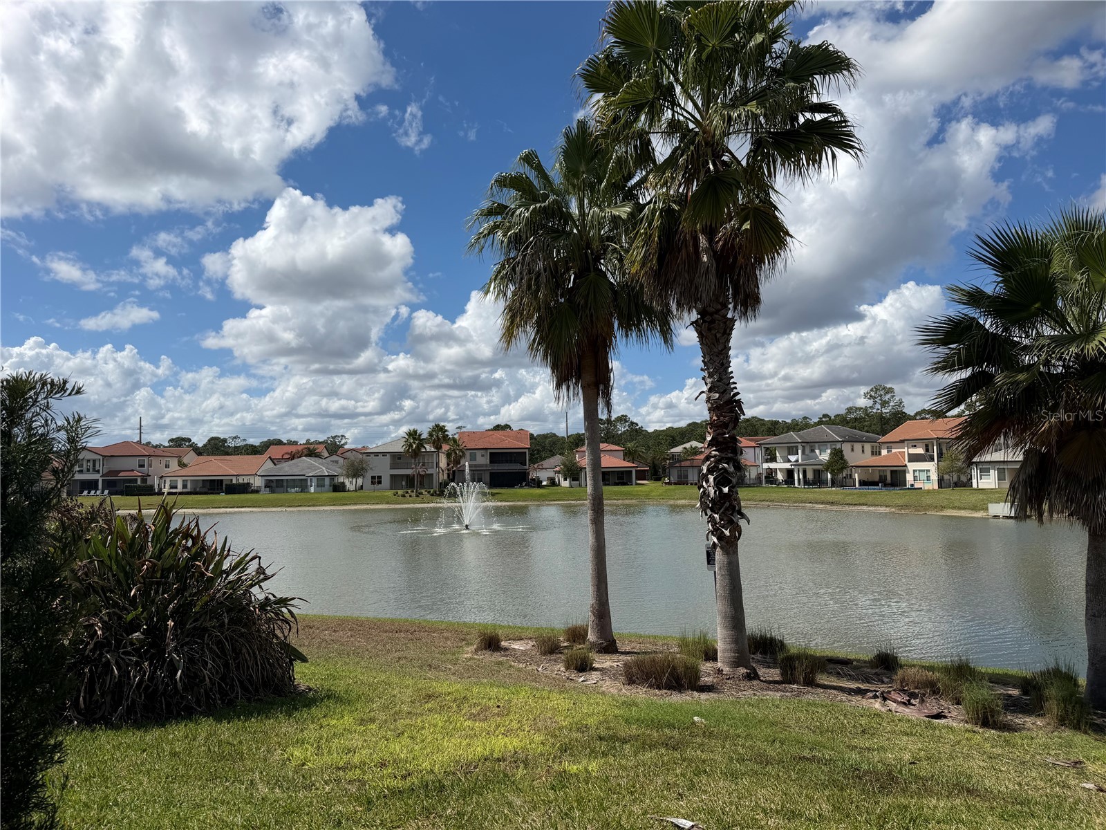 10799 Royal Cypress Way Orlando FL 32836 O6399732 image15