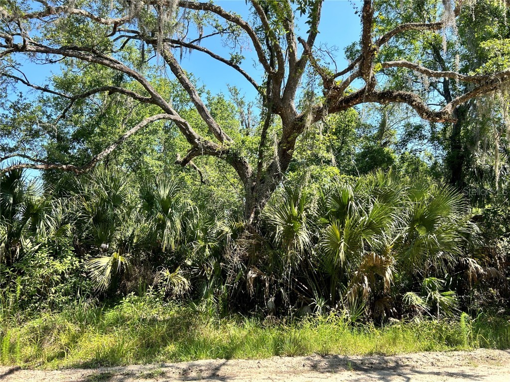 108/106 Plumosa Drive Georgetown FL 32139 U8245850 image1