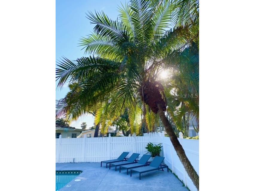 108 8th Street Belleair Beach FL 33786 U8192021 image18