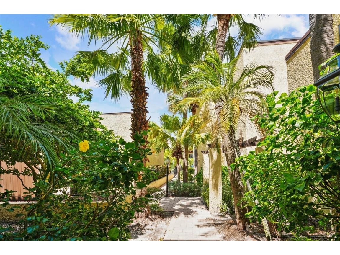 108 Alameda Court #236 Tampa FL 33609 TB8448609 image31