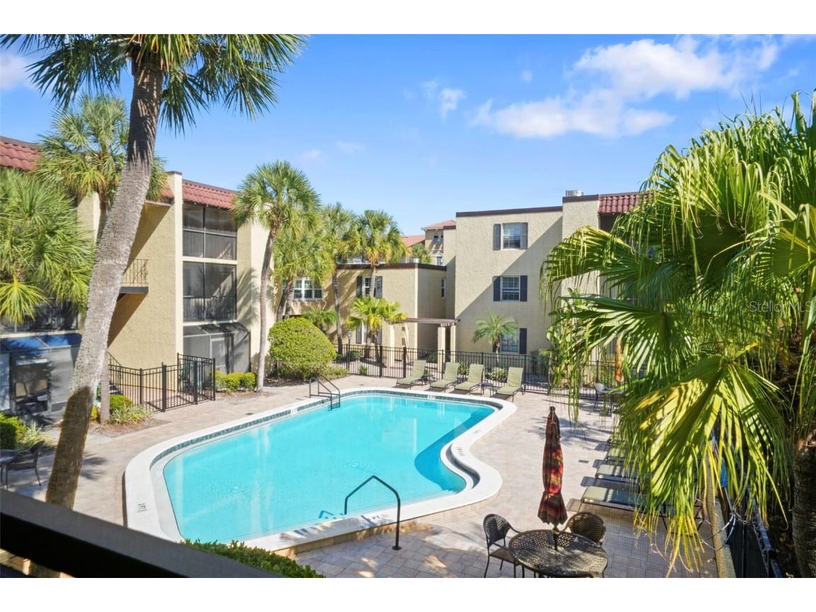 108 Alameda Court #236 Tampa FL 33609 TB8448609 image42