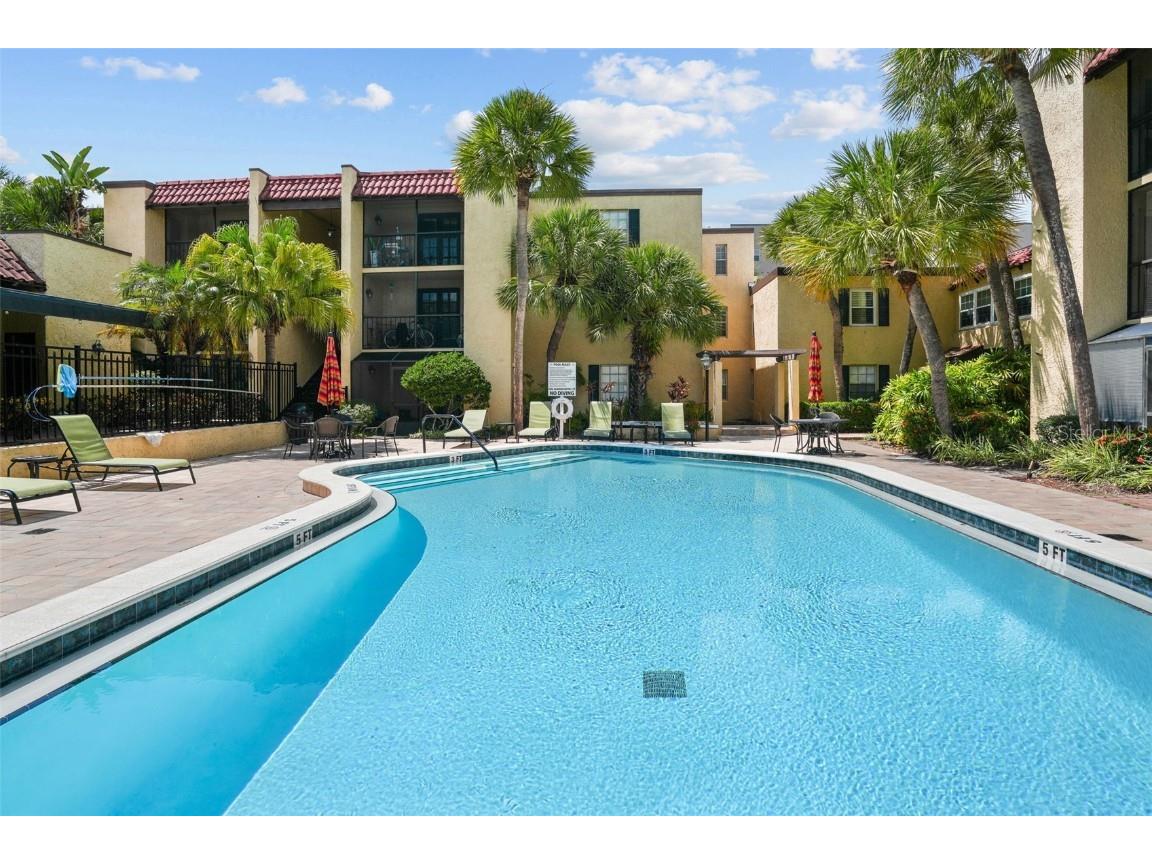 108 Alameda Court #236 Tampa FL 33609 TB8448609 image48