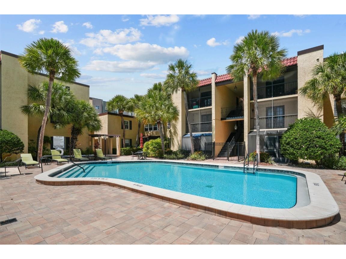 108 Alameda Court #236 Tampa FL 33609 TB8448609 image49