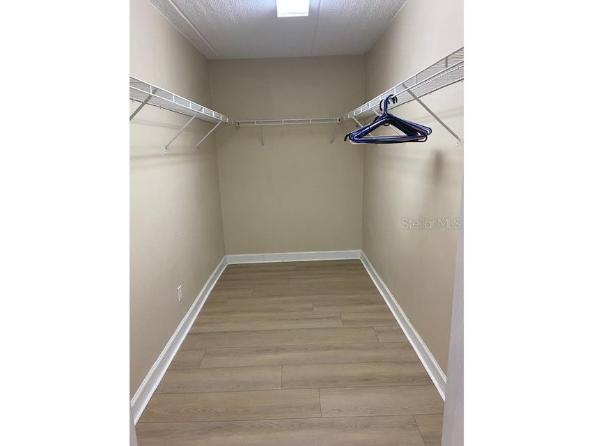 108 Alameda Court #334 Tampa FL 33609 TB8486841 image26