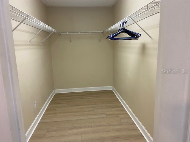 108 Alameda Court #334 Tampa FL 33609 TB8486841 image27