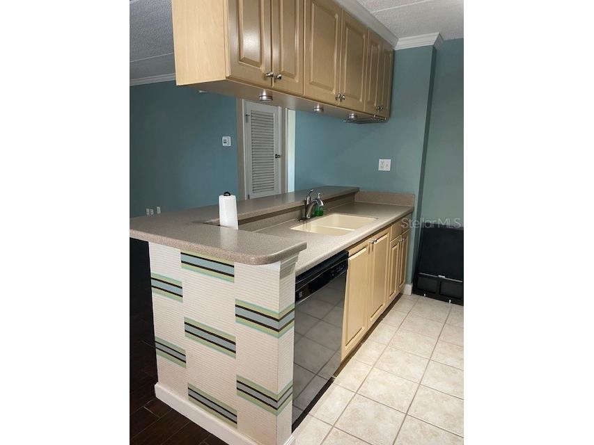 108 Alameda Court #334 Tampa FL 33609 TB8486841 image8