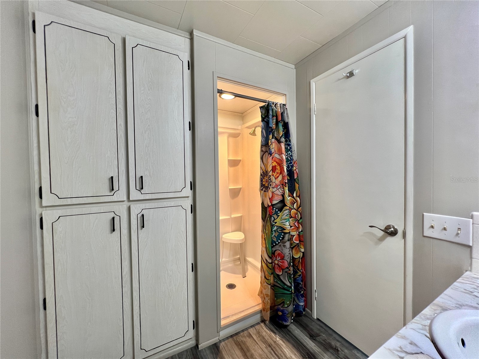 108 Audubon Drive Leesburg FL 34748 G5105145 image30
