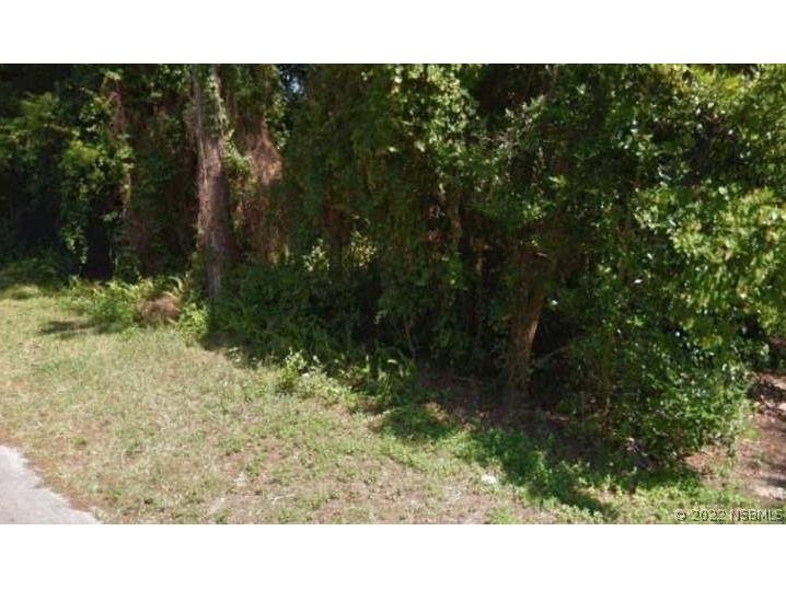 108 Azalea Road Edgewater FL 32141 NS1070594 image1