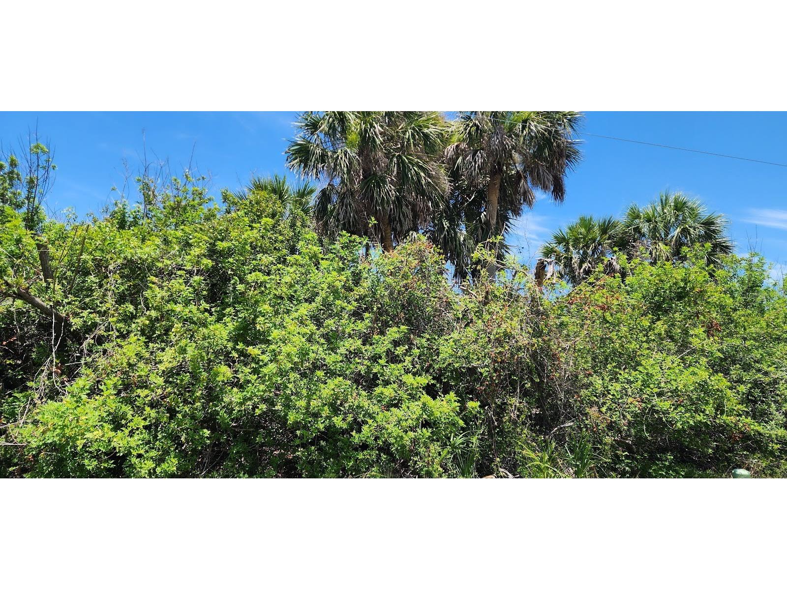 108 Bebb Court Rotonda West FL 33947 D6143971 image2