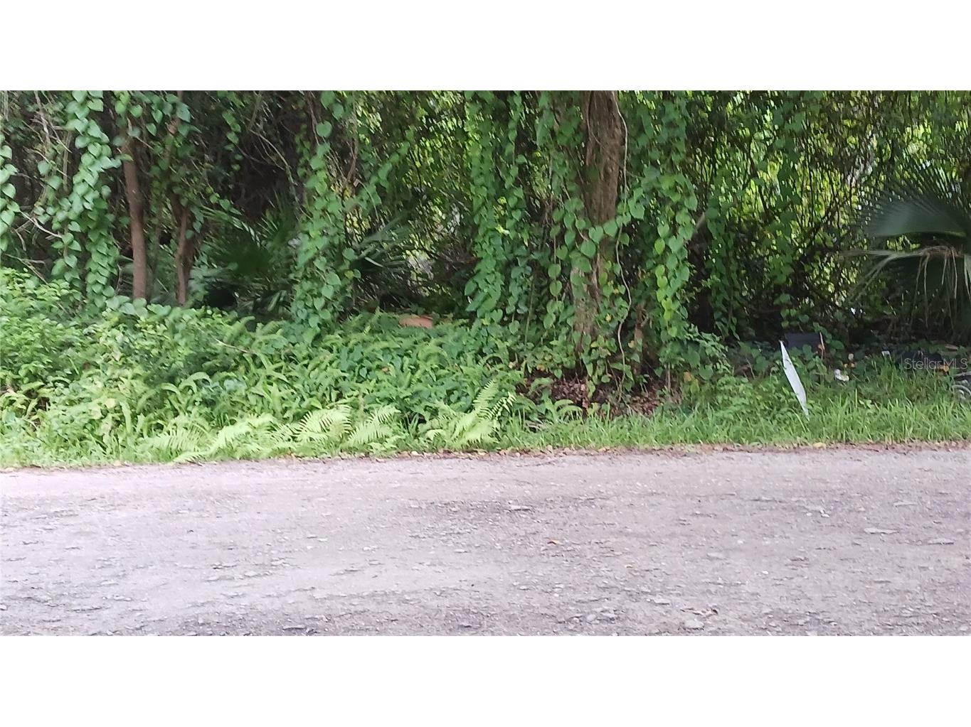 108 Big Apple Road East Palatka FL 32131 V4938184 image1