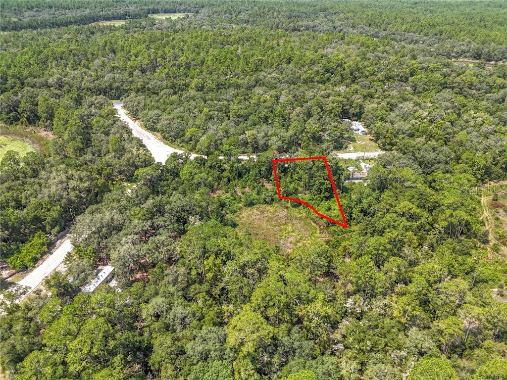 108 Bream Drive Interlachen FL 32148 GC533429 image14