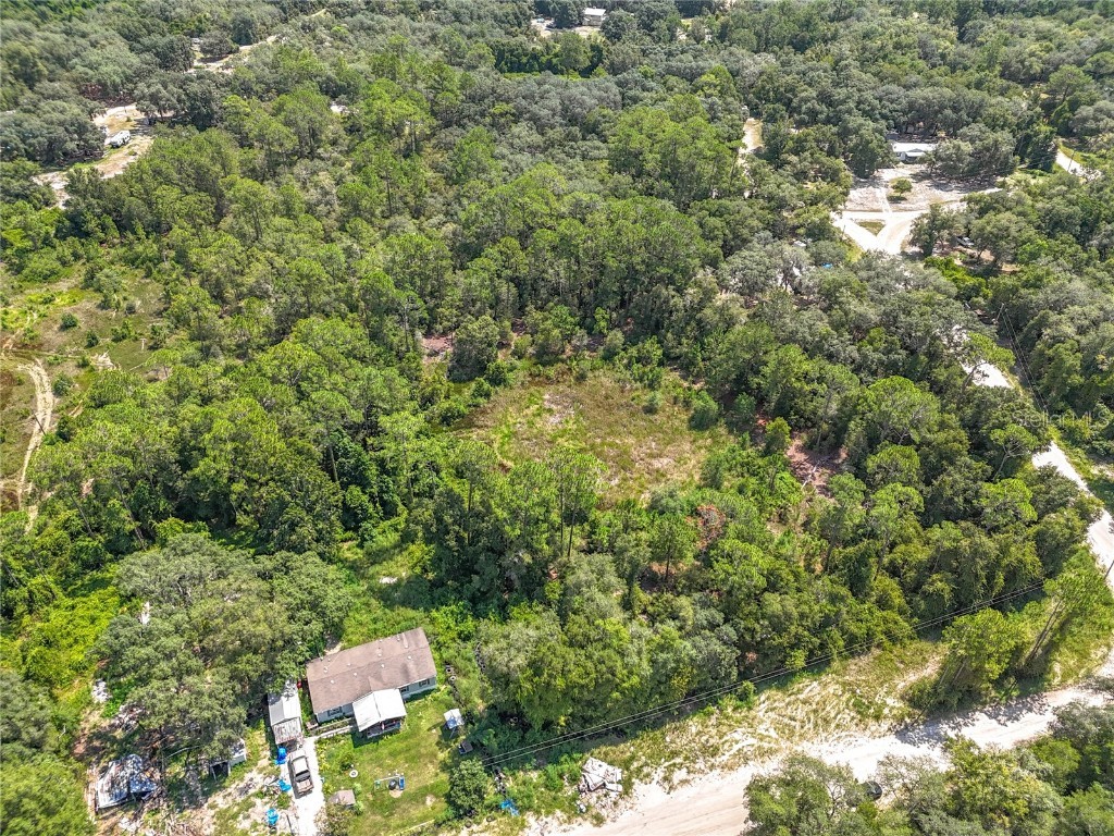 108 Bream Drive Interlachen FL 32148 GC533429 image5