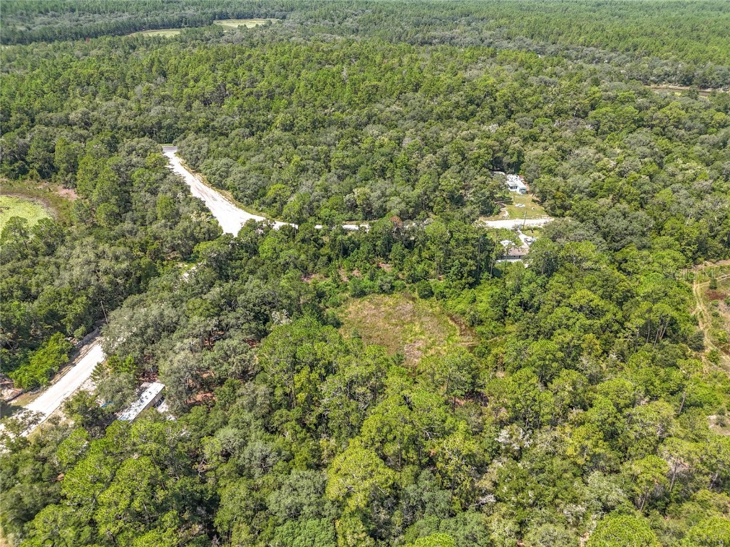 108 Bream Drive Interlachen FL 32148 GC533429 image6