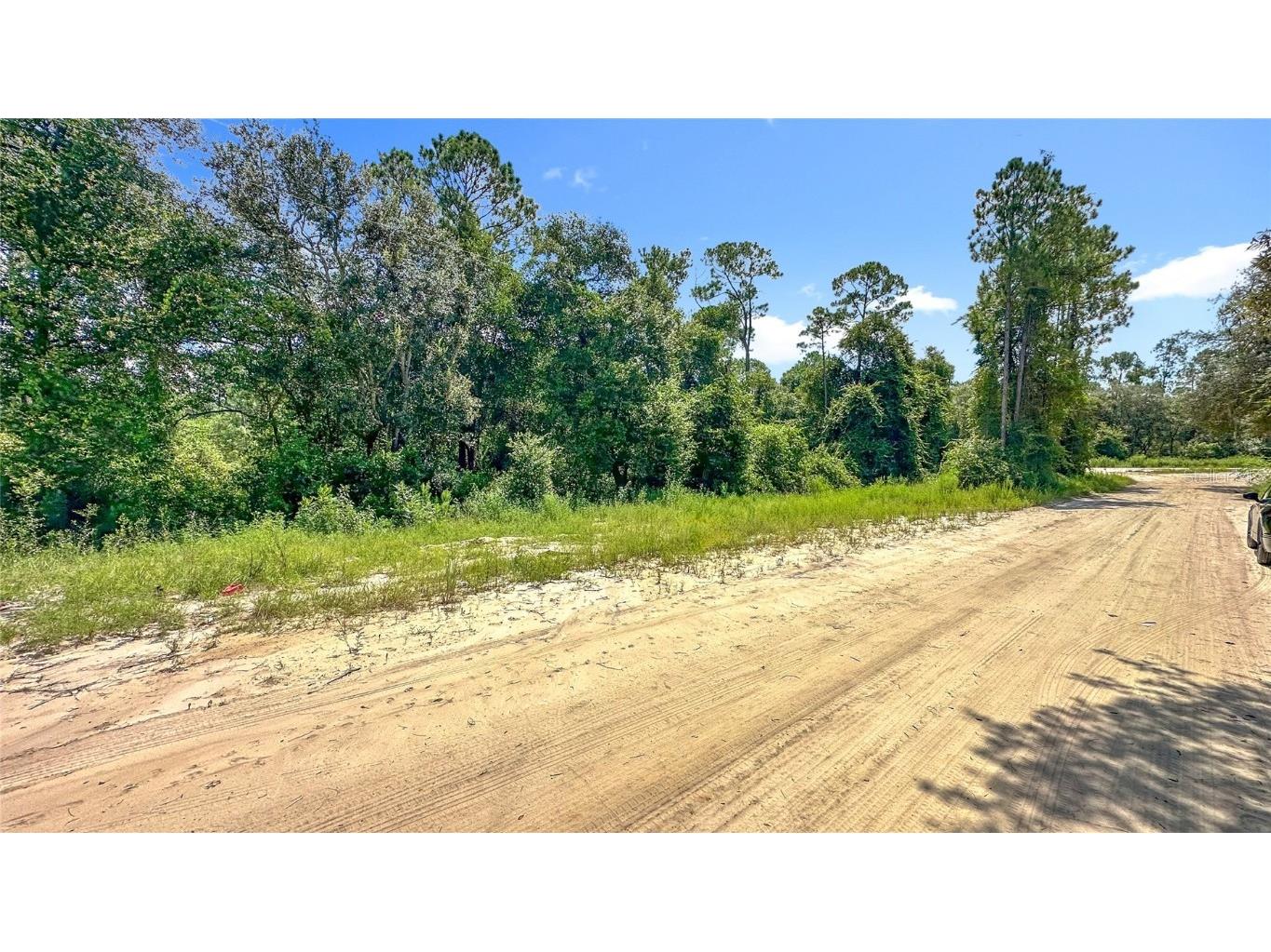 108 Bream Drive Interlachen FL 32148 GC533429 image7