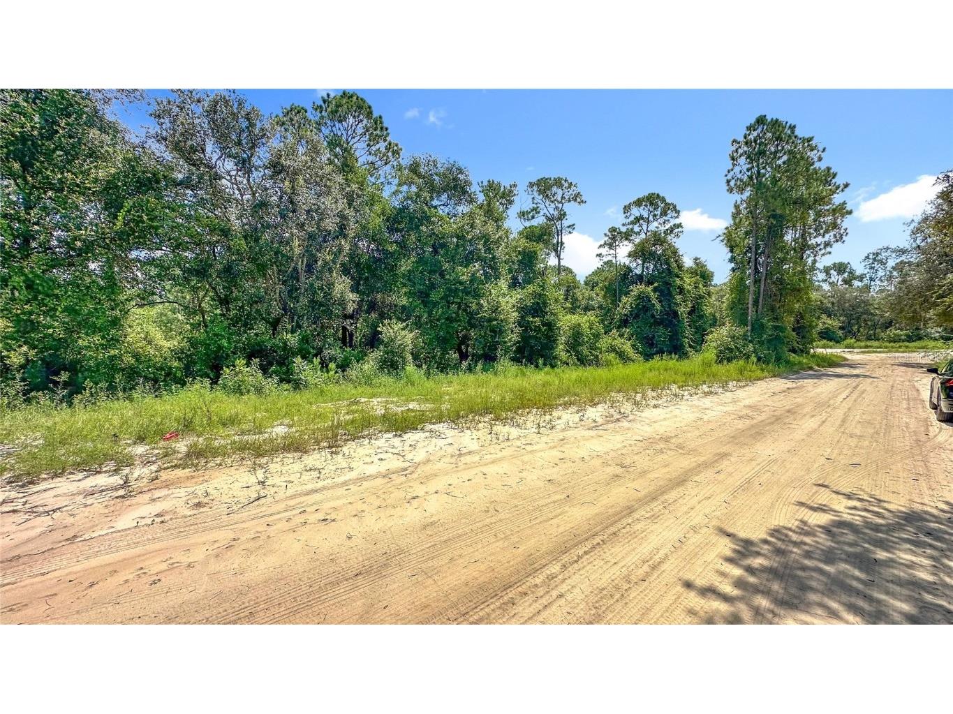 108 Bream Drive Interlachen FL 32148 GC533429 image8