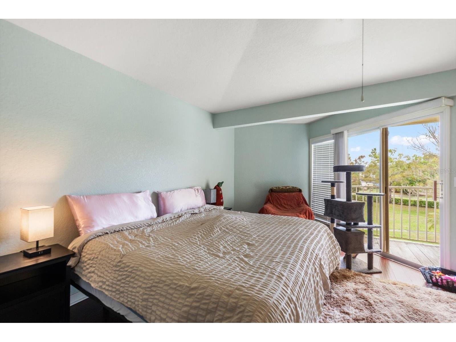 108 Brent Circle Oldsmar FL 34677 TB8483935 image12