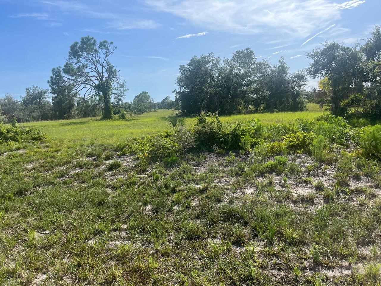 108 Brig Circle E Placida FL 33946 S5150352 image4