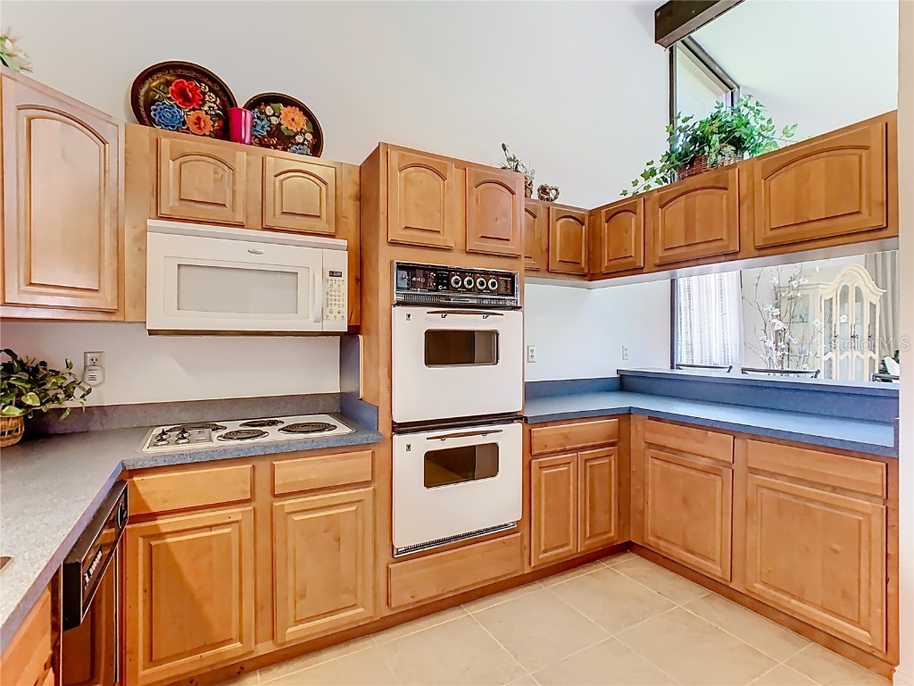 108 Canterbury Drive Haines City FL 33844 P4935742 image8