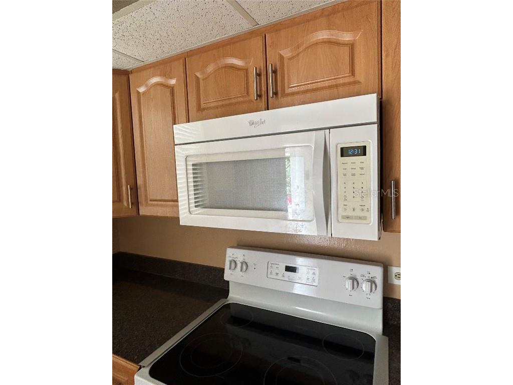 108 Clocktower Drive #261 Brandon FL 33510 TB8442560 image6