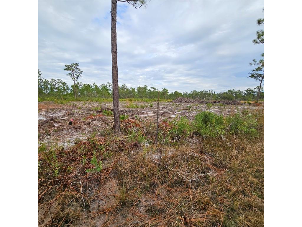 108 El Dorado Dr Indian Lake Estates FL 33855 S5140357 image2