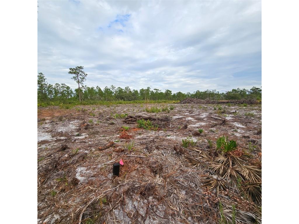 108 El Dorado Dr Indian Lake Estates FL 33855 S5140357 image3