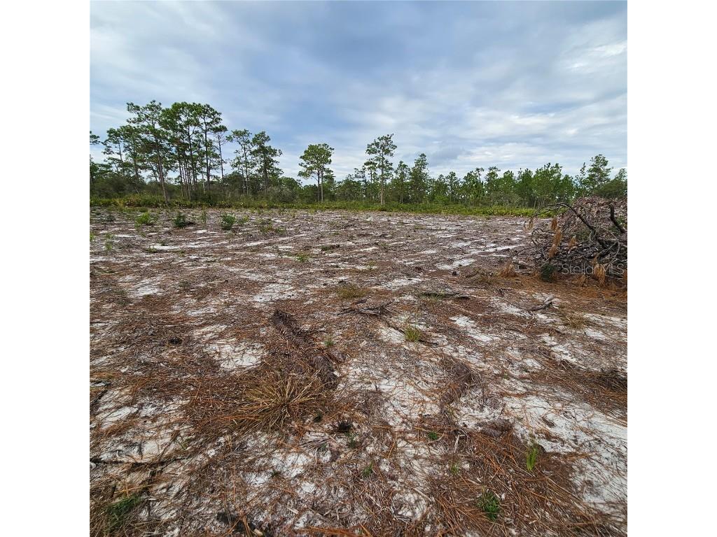 108 El Dorado Dr Indian Lake Estates FL 33855 S5140357 image9