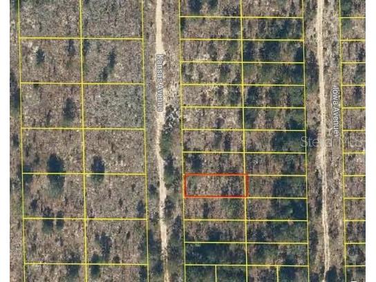 108 Kansas Avenue Hawthorne FL 32640 O6277889 image1