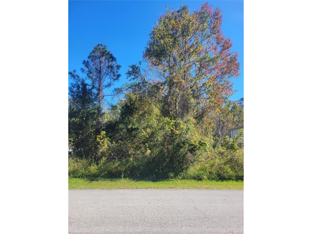 108 Karas Trail Palm Coast FL 32164 FC296565 image1