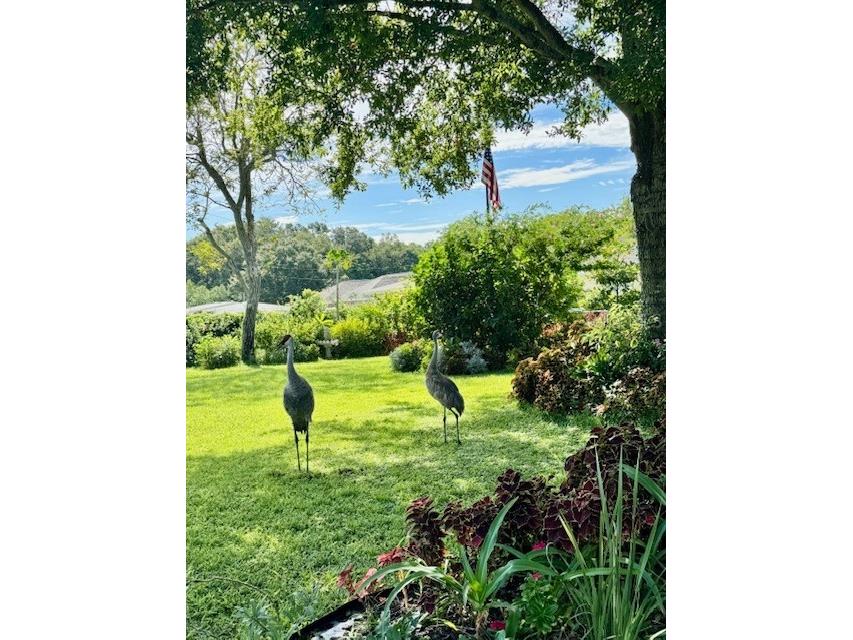 108 Lake Sears Drive Winter Haven FL 33880 TB8447823 image20