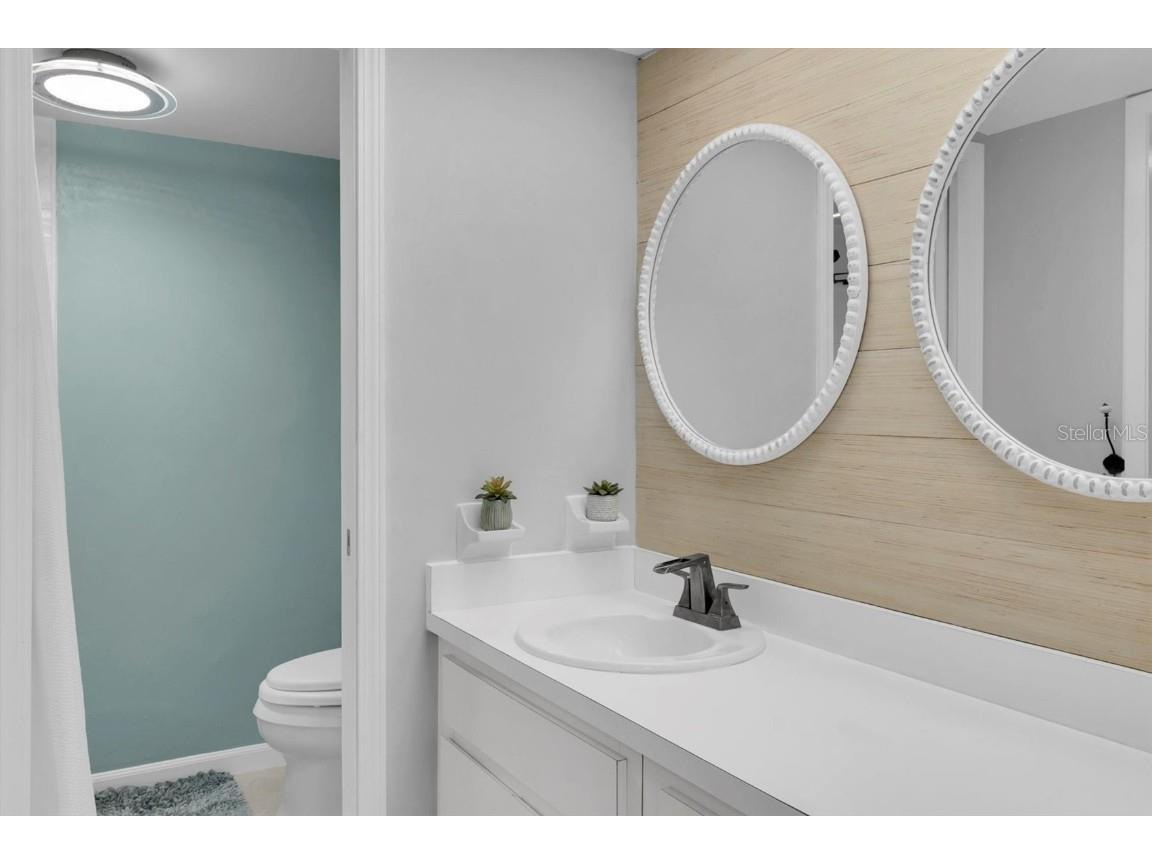 108 Lakeview Place #108 Oldsmar FL 34677 TB8454159 image19