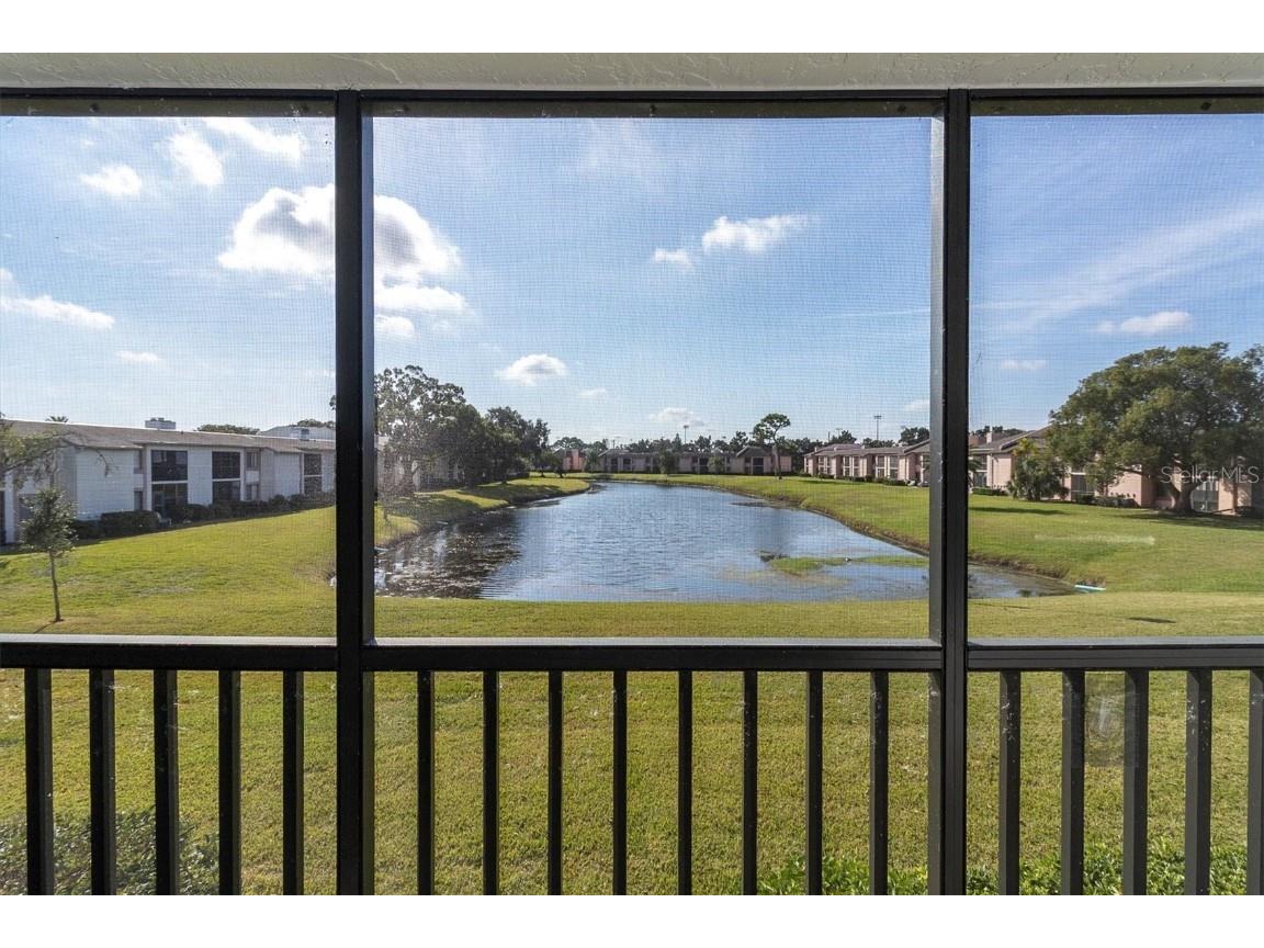 108 Lakeview Place #108 Oldsmar FL 34677 TB8454159 image25