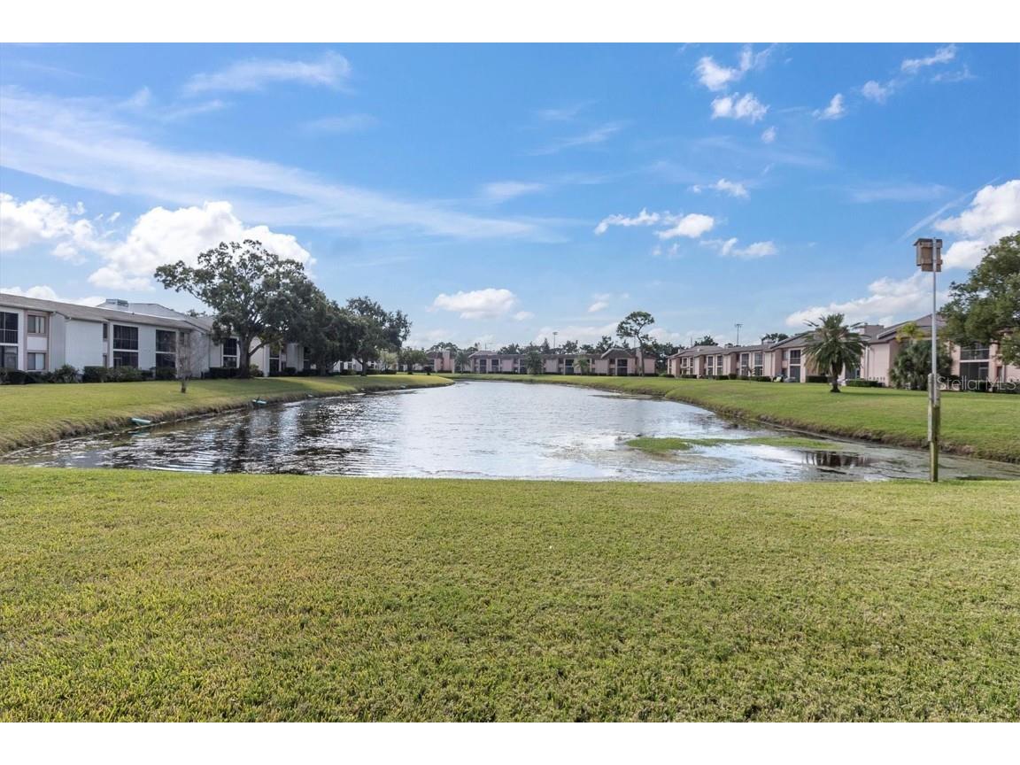 108 Lakeview Place #108 Oldsmar FL 34677 TB8454159 image26