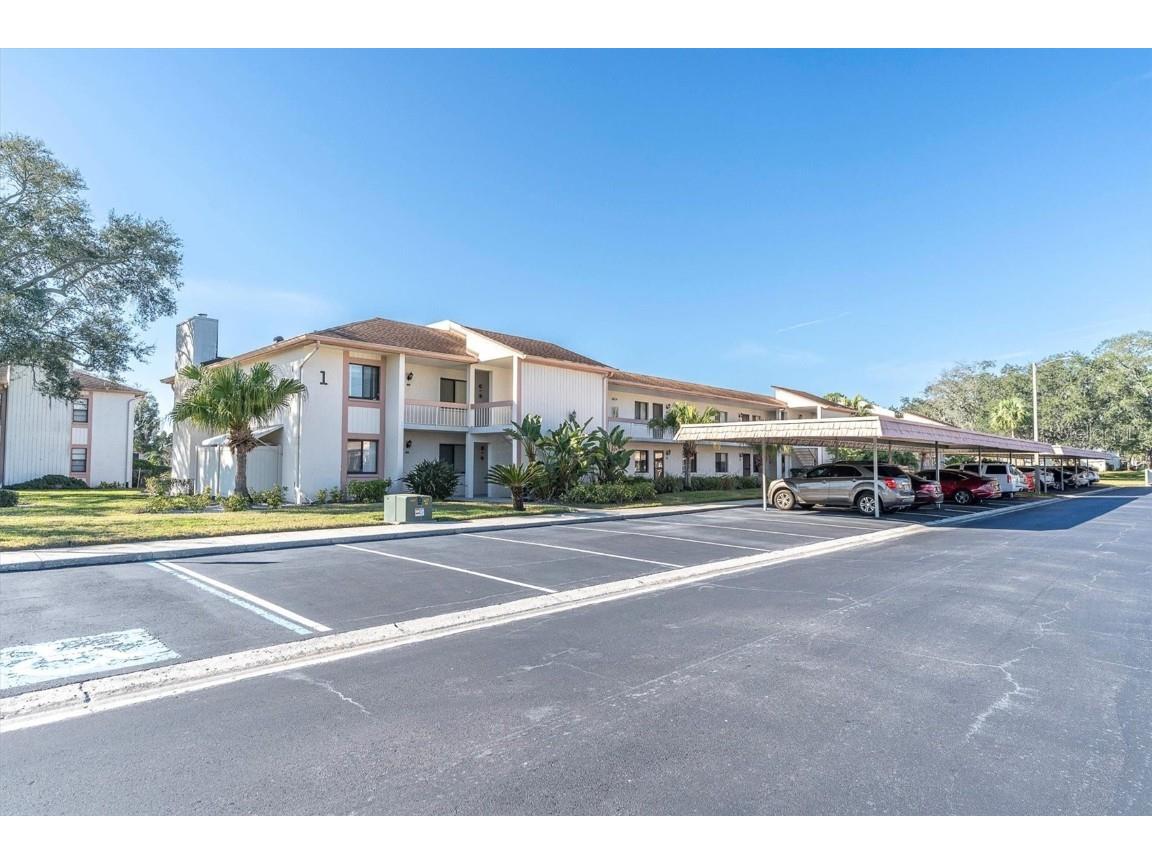 108 Lakeview Place #108 Oldsmar FL 34677 TB8454159 image28