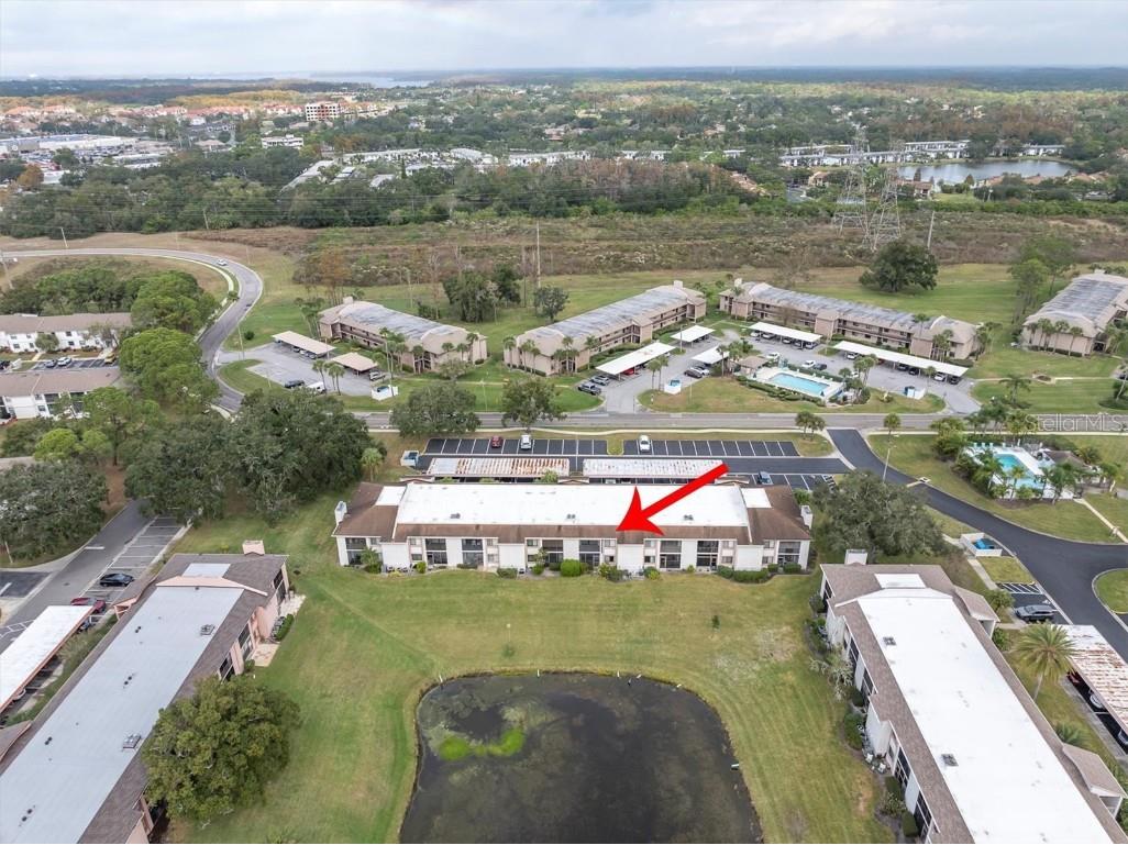 108 Lakeview Place #108 Oldsmar FL 34677 TB8454159 image32